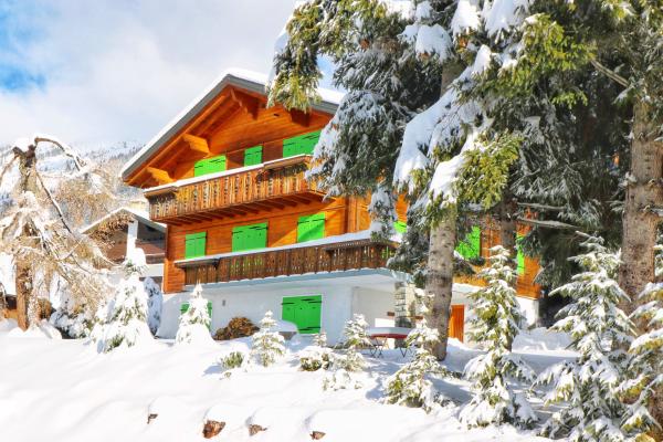 ski in, ski out chalet, on le Rouge Verbier